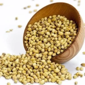 Coriander Whole/ಧನಿಯಾ (ಹವೀಜ)