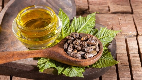 Castor Oil / ಹರಳೆಣ್ಣೆ