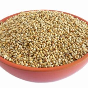 Pearl Millet (Sajje) / ಸಜ್ಜೆ