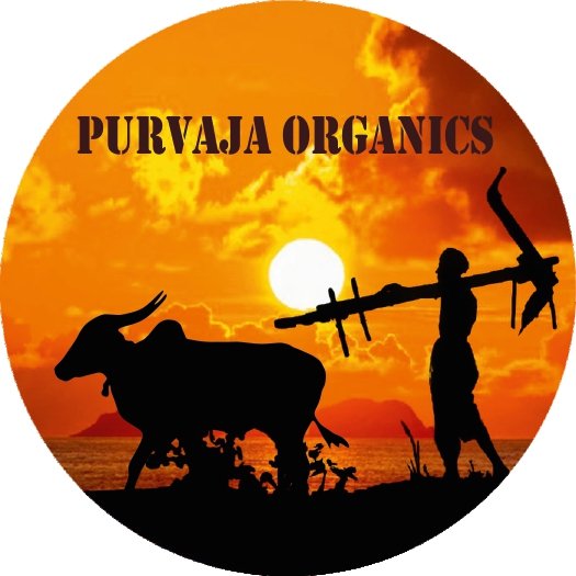 Read more about the article Welcome to Purvaja Organics – Your Source for Premium Organic Essentials