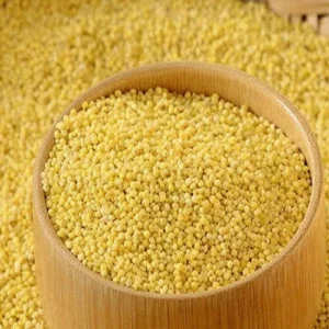 Foxtail millets / ನವಣೆ